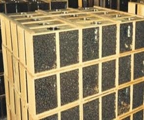 nuc bee hives for sale