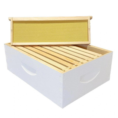8 Frame Medium Honey Super Assembled with Triple Wax Frames
