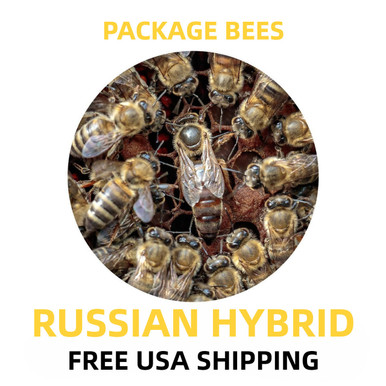 russian-hybrid-package-honey-