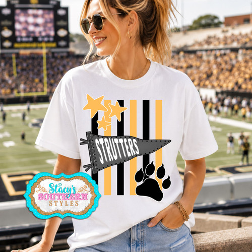 Strutters Stripes and Stars Tee