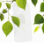 TÃœV Rheinland Certified Green Product Mark
|| Glass Elite is made with up to 30% recycled glass, its installation tray is made from 100% recycled content, and its packaging is 100% recyclable.