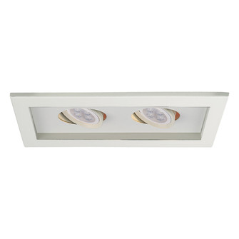 Mr16 Multiples LED Trim in White/White (34|MT-216LED-WT/WT)