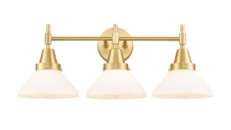 Caden Three Light Bath Vanity in Satin Gold (405|447-3W-SG-G4471) Caden Three Light Bath Vanity in Satin Gold (405|447-3W-SG-G4471)