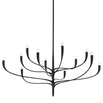 Labra 12 Light Chandelier in Aged Iron (70|9612-AI)