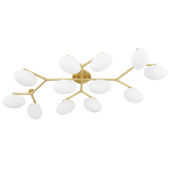 Wagner 12 Light Semi Flush Mount in Aged Brass (70|5559-AGB) Wagner 12 Light Semi Flush Mount in Aged Brass (70|5559-AGB)