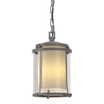 Meridian Meridian Outdoor Ceiling Fixture in Coastal Burnished Steel (39|365610-SKT-78-ZS0297)