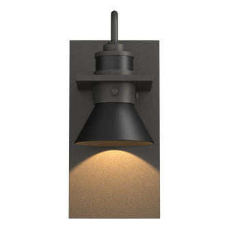 Erlenmeyer Erlenmeyer Dark Sky Friendly Outdoor Sconce in Coastal Natural Iron (39|307716-SKT-20-80)