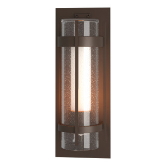Torch One Light Outdoor Wall Sconce in Coastal Bronze (39|305898-SKT-75-ZS0656)