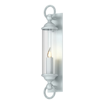 Cavo One Light Outdoor Wall Sconce in Coastal Burnished Steel (39|303080-SKT-78-ZM0034)