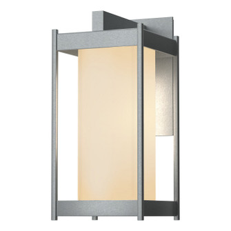Cela One Light Outdoor Wall Sconce in Coastal Burnished Steel (39|302021-SKT-78-GG0730)