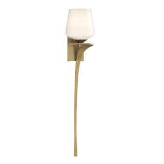 Antasia Antasia Single Glass 1 Light Sconce in Modern Brass (39|204710-SKT-RGT-86-GG0236)