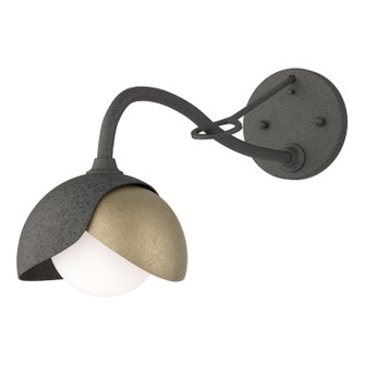 Brooklyn Brooklyn 1-Light Double Shade Long-Arm Sconce in Natural Iron (39|201377-SKT-20-84-GG0711)