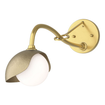 Brooklyn Brooklyn 1-Light Single Shade Long-Arm Sconce in Modern Brass (39|201376-SKT-86-84-GG0711)