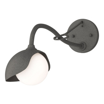 Brooklyn Brooklyn 1-Light Single Shade Long-Arm Sconce in Natural Iron (39|201376-SKT-20-20-GG0711)