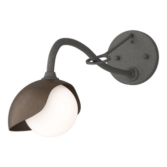 Brooklyn Brooklyn 1-Light Single Shade Long-Arm Sconce in Natural Iron (39|201376-SKT-20-05-GG0711)