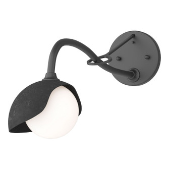 Brooklyn Brooklyn 1-Light Single Shade Long-Arm Sconce in Black (39|201376-SKT-10-10-GG0711)