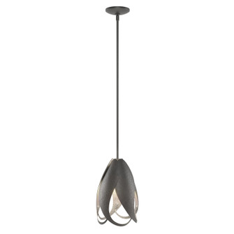 Pental Pental Mini Pendant in Black (39|188770-SKT-MULT-10)