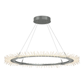 Anemone Anemone Circular LED Pendant in Vintage Platinum (39|139772-LED-STND-82)