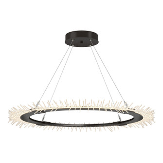 Anemone Anemone Circular LED Pendant in Oil Rubbed Bronze (39|139772-LED-STND-14)