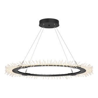 Anemone Anemone Circular LED Pendant in Black (39|139772-LED-STND-10)