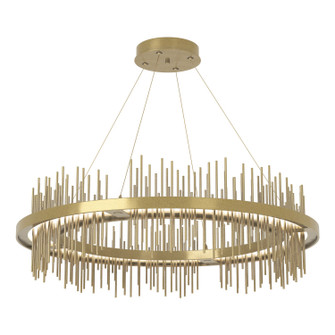 Gossamer Gossamer Circular LED Pendant in Black (39|139656-LED-STND-10-02)