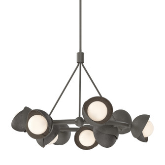 Brooklyn Brooklyn 9-Light Double Shade Ring Pendant in Dark Smoke (39|131068-SKT-MULT-07-14-GG0711)