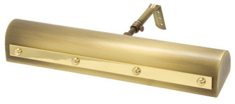 Classic Traditional Two Light Picture Light in Antique Brass with Polished Brass (30|TR14-AB/PB)