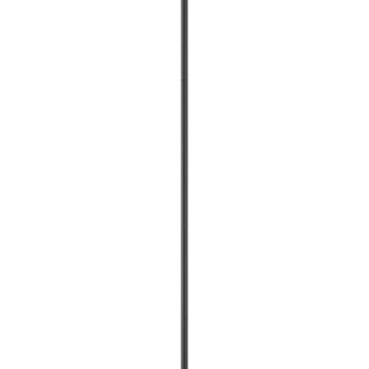 Stem Accessory Stem in Black (13|6034BK)