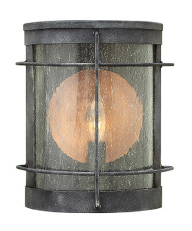 Newport LED Wall Mount in Aged Zinc (13|2620DZ)