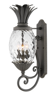 Plantation LED Outdoor Lantern in Museum Black (13|2124MB)