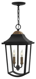 Burton LED Hanging Lantern in Black (13|1972BK)