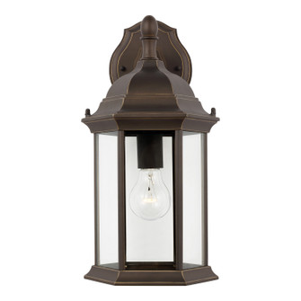 Sevier One Light Outdoor Wall Lantern in Antique Bronze (1|8938751-71)