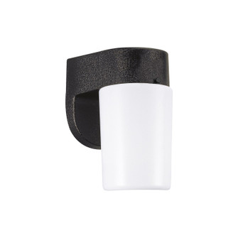 Outdoor Wall One Light Outdoor Wall Lantern in Black (1|8909PEN3-12)
