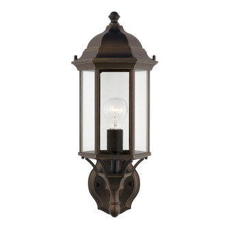 Sevier One Light Outdoor Wall Lantern in Antique Bronze (1|8838701-71)