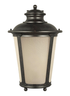 Cape May One Light Outdoor Wall Lantern in Burled Iron (1|88244EN3-780)