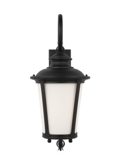 Cape May One Light Outdoor Wall Lantern in Black (1|88242EN3-12)