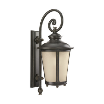 Cape May One Light Outdoor Wall Lantern in Burled Iron (1|88242-780)