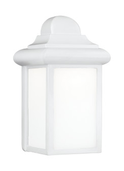 Mullberry Hill One Light Outdoor Wall Lantern in White (1|8788-15)