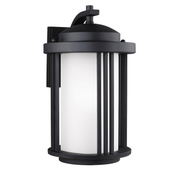 Crowell One Light Outdoor Wall Lantern in Black (1|8747901-12)