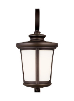 Eddington One Light Outdoor Wall Lantern in Antique Bronze (1|8719301-71)