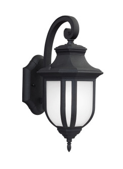 Childress One Light Outdoor Wall Lantern in Black (1|8636301-12)