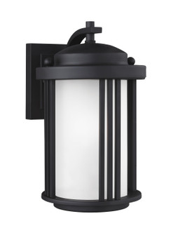 Crowell One Light Outdoor Wall Lantern in Black (1|8547901-12)