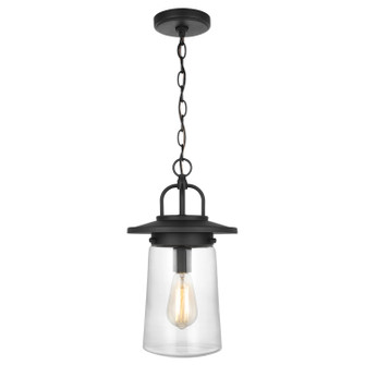 Tybee One Light Outdoor Pendant in Black (1|6208901-12)