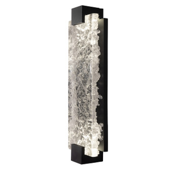 Terra LED Wall Sconce in Black/Clear Glass (48|896750-11ST)