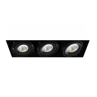 TE SERIES MULT,15W,TRMLS,3LT,40K,BLK in Black (40|TE613LED-40-2-01)