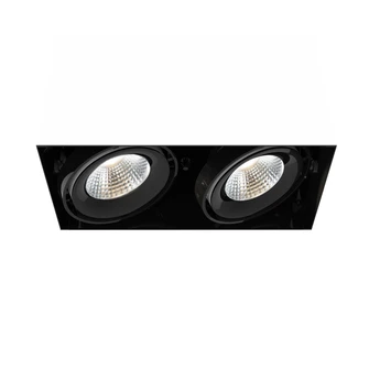 26W Multi LED Recessed Multiple in Black (40|TE222LED-35-2-01)