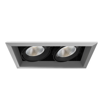TE SERIES MULT,26W,TRM,2LT,30K,PT/BLK in Platinum (40|TE132LED-30-4-0N)