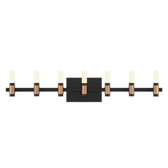 Albany LED Vanity in Black and Brass (40|45238-017)