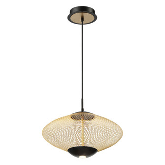 Park LED Pendant in Matte Black (40|37106-010)