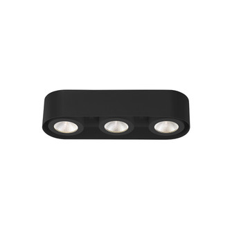 Nymark LED Flushmount in Black (40|33618-021)